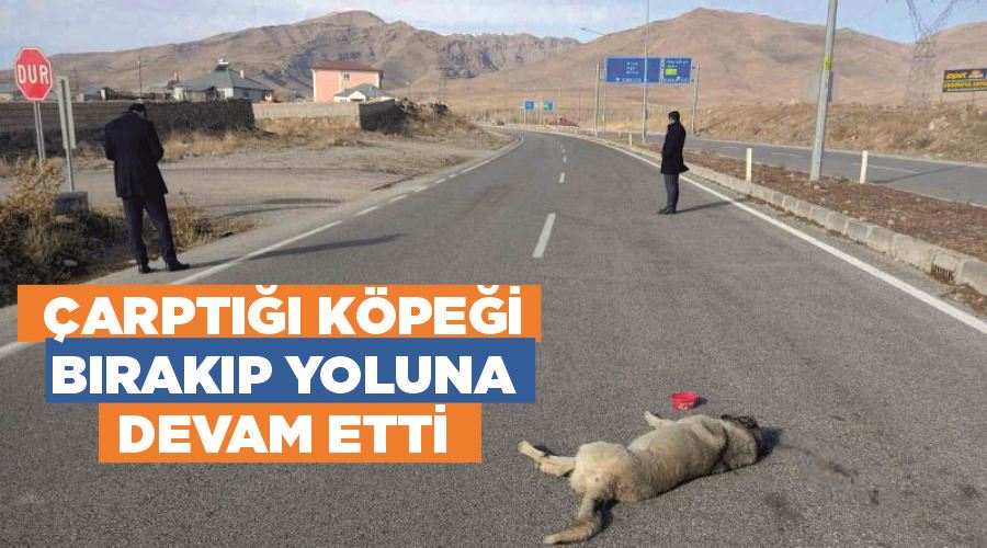 Çarptığı köpeği bırakıp yoluna devam etti