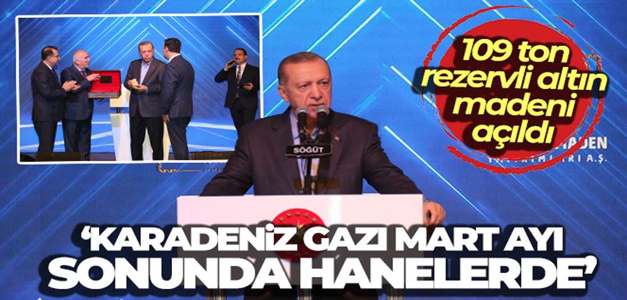 Mart ayı sonunda Karadeniz gazını hanelere verilmeye başlanacak