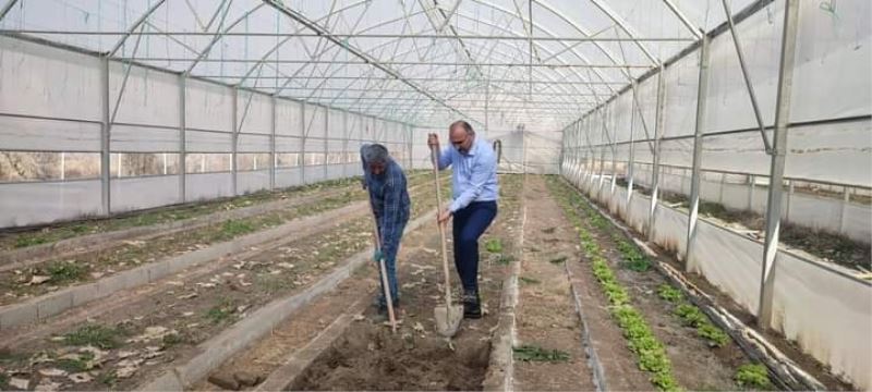 Çukurca Belediyesinin seralarında yeni ürünlerin ekimine başlandı
