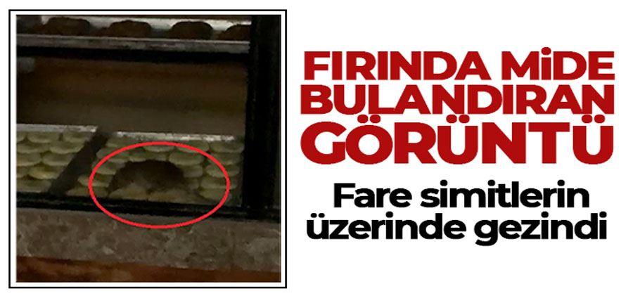 Simit fırınında gezinen fare kameraya yansıdı