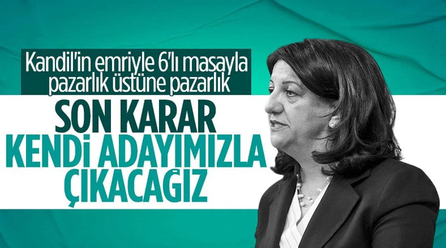 HDP kendi cumhurbaşkanı adayını çıkaracak