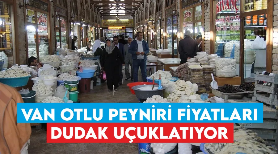 Van Otlu Peyniri fiyatları dudak uçuklatıyor