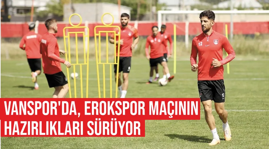 Vanspor