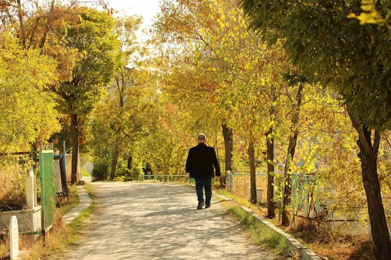 Ağrı’da sonbahar güzelliği hayran bırakıyor
