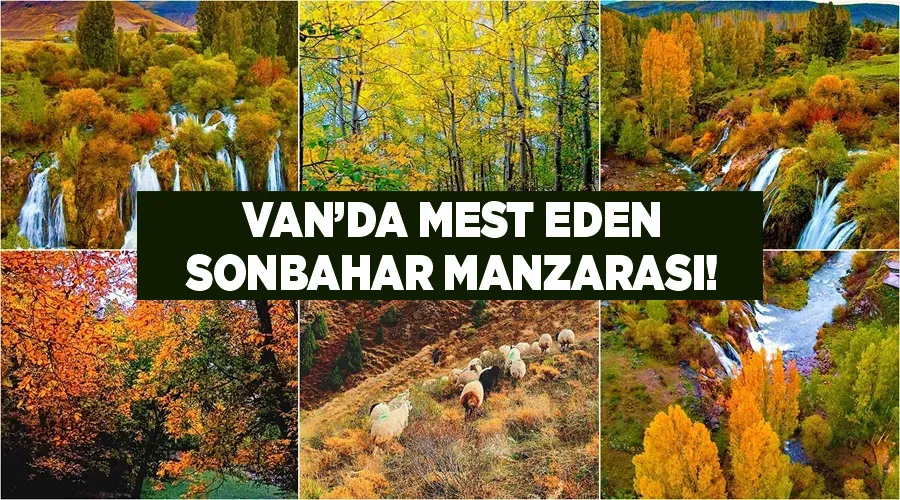 Van’da mest eden sonbahar manzarası!