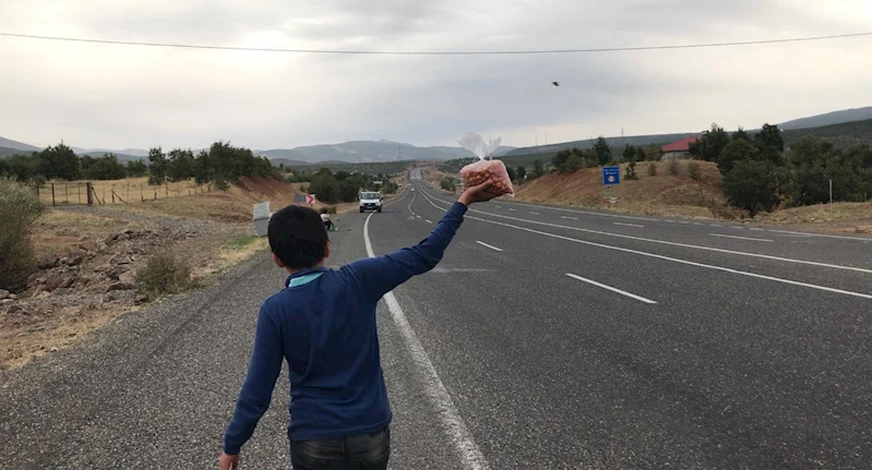 Okul harçlıklarını çıkarmak için yol kenarında ‘alıç’ satıyorlar
