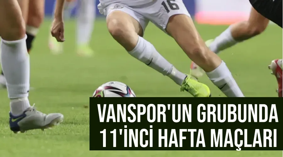 Vanspor