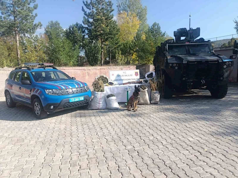 Bitlis’te 28 kilo 560 gram kubar esrar ve 2 kilo 380 gram esrar tohumu ele geçirildi
