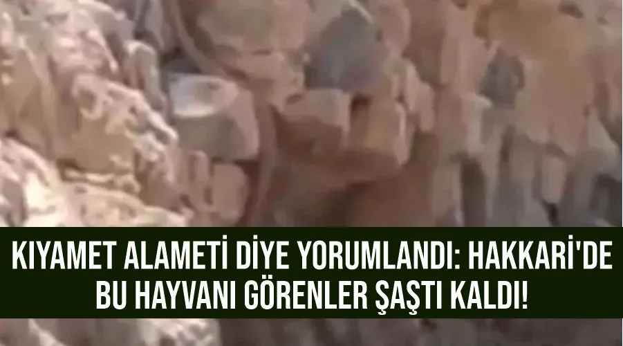 Kıyamet alameti diye yorumlandı: Hakkari