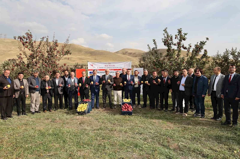 Aromasını gece ve gündüz arasındaki sıcaklık farkından alan elmanın hasadı yapıldı
