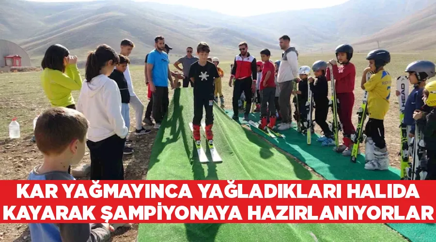 Kar yağmayınca yağladıkları halıda kayarak şampiyonaya hazırlanıyorlar