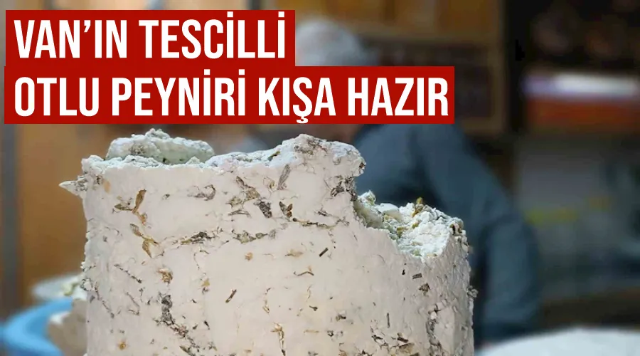 Van’ın tescilli otlu peyniri kışa hazır