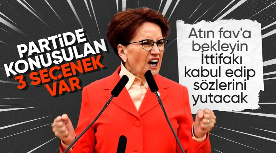 İyi Parti