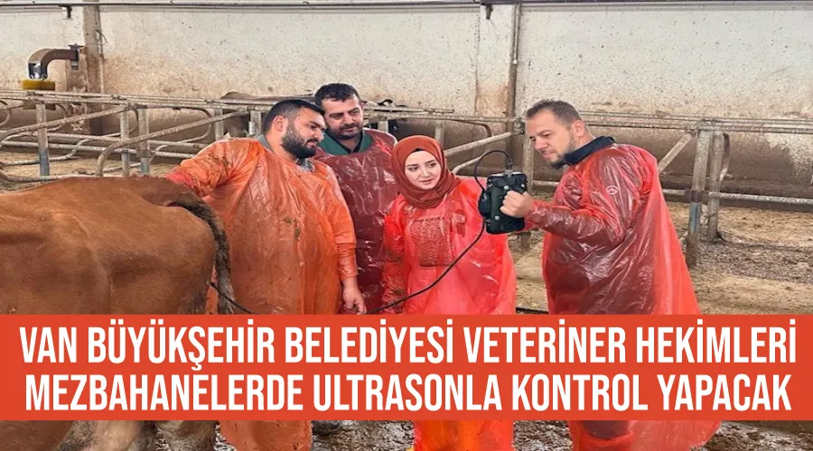 Van Büyükşehir Belediyesi veteriner hekimleri mezbahanelerde ultrasonla kontrol yapacak