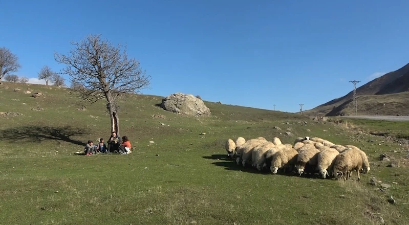 Köyün tek öğretmeni, 5 öğrencisini geleceğe hazırlıyor
