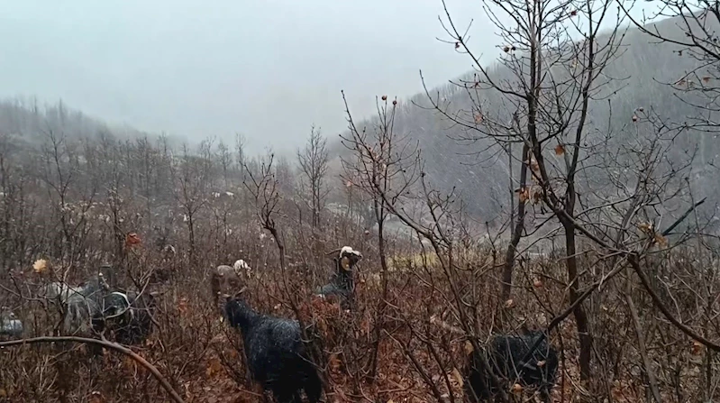 Kar ve tipiye yakalanan hayvan sürüsü güçlükle köye ulaştırıldı
