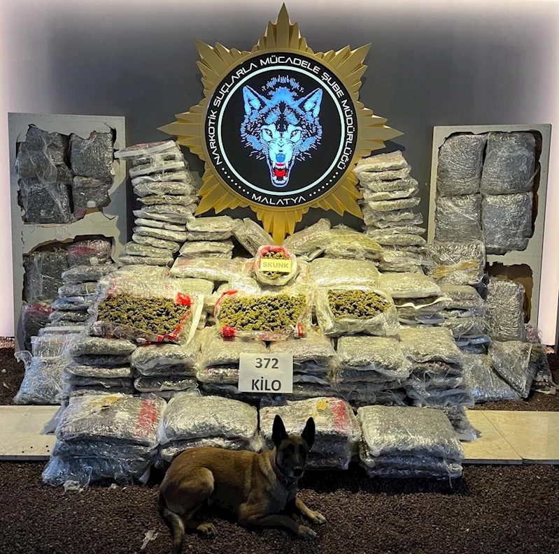 Malatya’da 372 kilo skunk ele geçirildi
