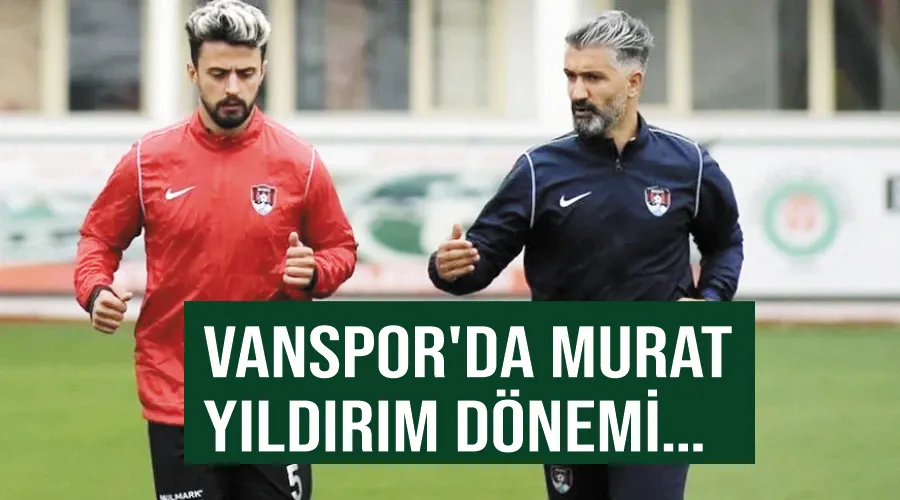 Vanspor