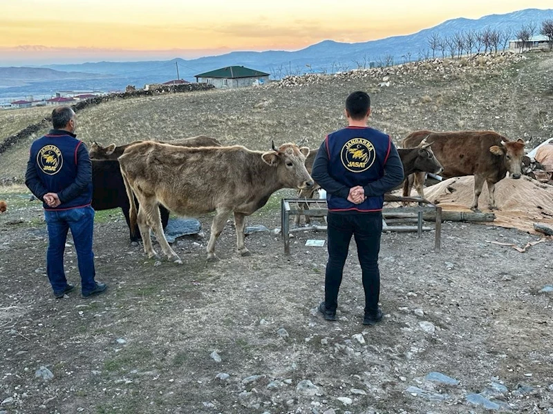 Iğdır’da çalınan hayvanlar bulunarak sahibine teslim edildi
