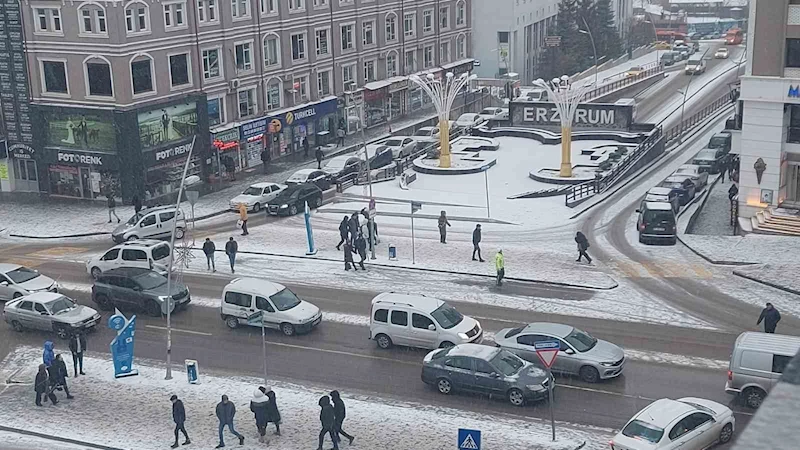 Erzurum’da kar yağışı hayatı olumsuz etkiliyor
