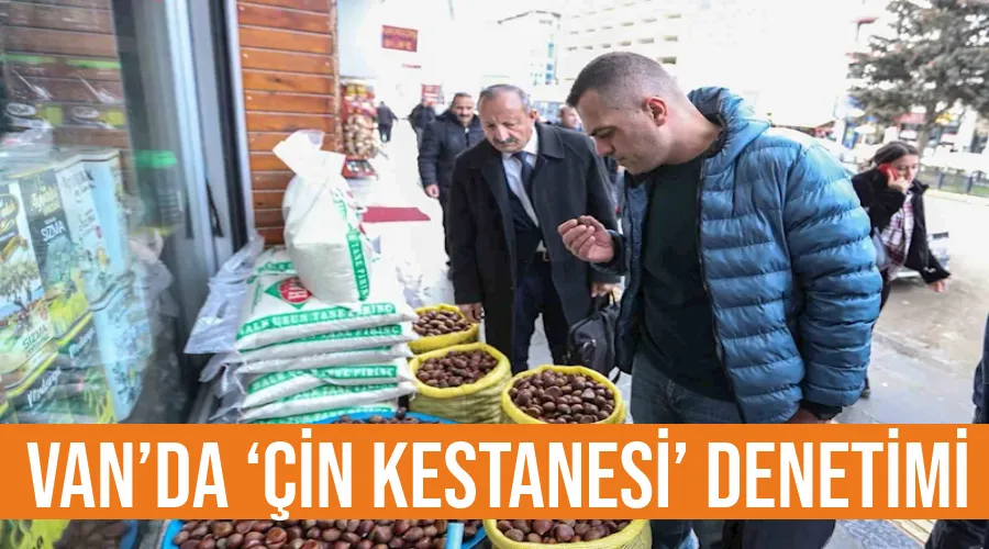 Van’da ‘Çin kestanesi’ denetimi