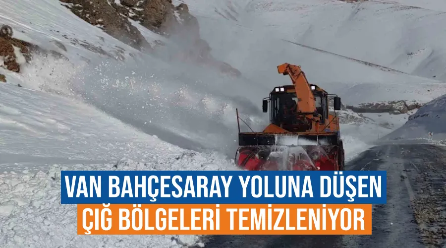 Van Bahçesaray yoluna düşen çığ bölgeleri temizleniyor