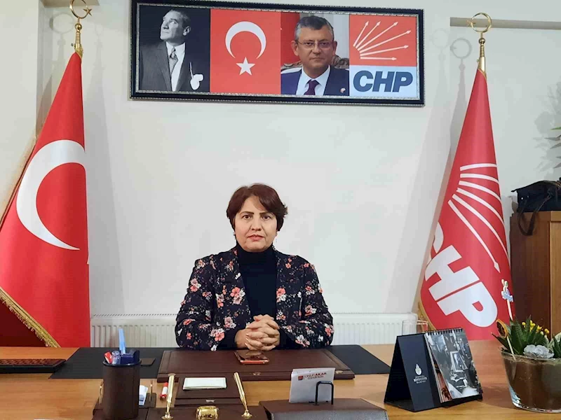 CHP Erzincan İl Başkanlığına Köylü atandı
