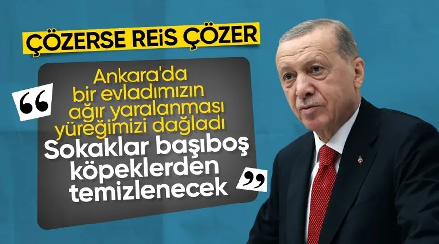 Cumhurbaşkanı Erdoğan başıboş köpek sorunuyla ilgili net konuştu