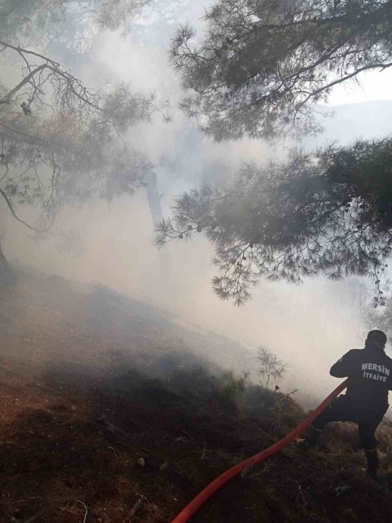 Mersin’de orman  yangını, kontrol altına alındı
