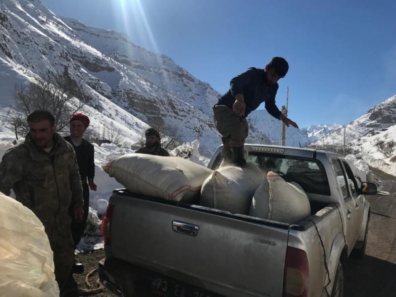 Şırnak’tan deprem bölgesine yem desteği
