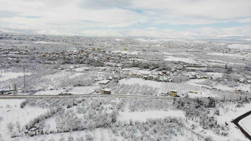 Malatya’da kayısı bahçeleri beyaz gelinliğini giydi
