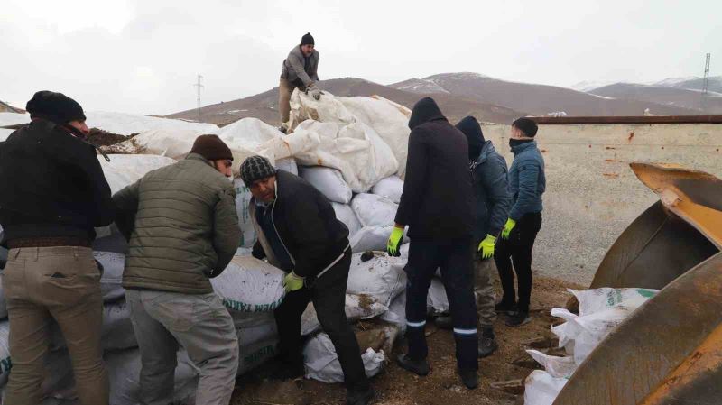 Ağrı’dan deprem bölgesine mısır silajları gönderildi
