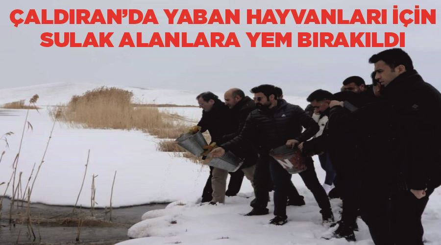 Çaldıran’da yaban hayvanları için sulak alanlara yem bırakıldı