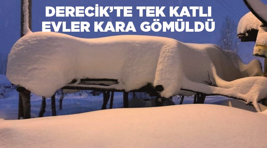 Derecik’te tek katlı evler kara gömüldü