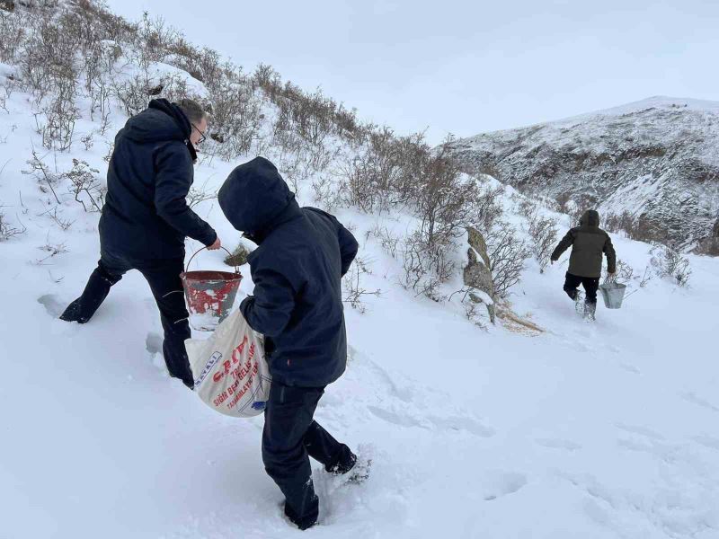 Kars’ta yaban hayvanları için doğa yem bırakıldı
