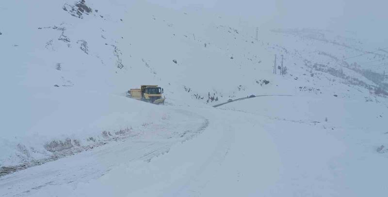 Hakkari’de 63 köy ve 178 mezra yolu kapandı
