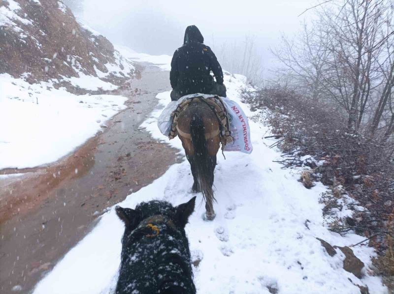 Depremzedelere katır sırtında yardım taşıyorlar
