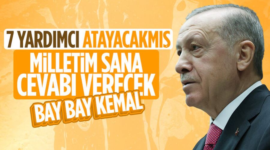 Cumhurbaşkanı Erdoğan, 7 Cumhurbaşkanı yardımcılı formülü eleştirdi