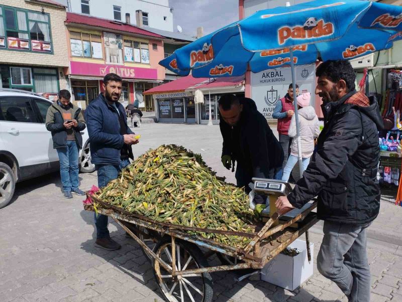 Gülbahar bitkisi tezgâhlarda yerini aldı
