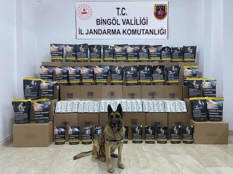 Bingöl’de 76 kilo kaçak tütün ele geçirildi: 1 gözaltı
