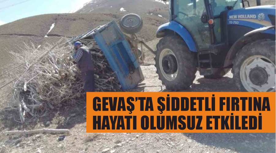 Gevaş’ta şiddetli fırtına hayatı olumsuz etkiledi