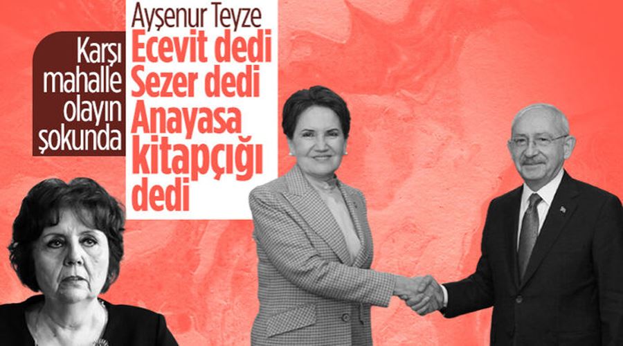 Ayşenur Arslan, Meral Akşener