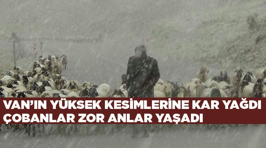 Van’ın yüksek kesimlerine kar yağdı, çobanlar zor anlar yaşadı