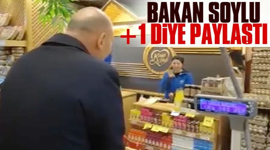 Süleyman Soylu, kararsız seçmeni sandığa gitmeye ikna etti