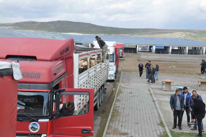 Kars’ta Hayvan Pazarı’nda ilk gün bereketi
