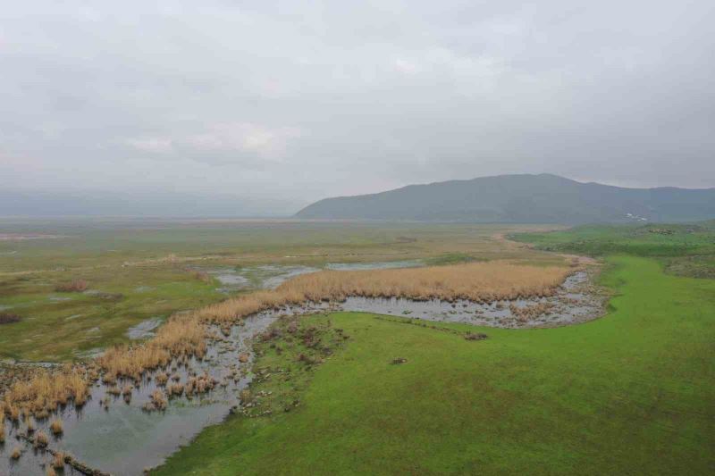 Güroymak’ta kaçak avcılığa drone ile denetim
