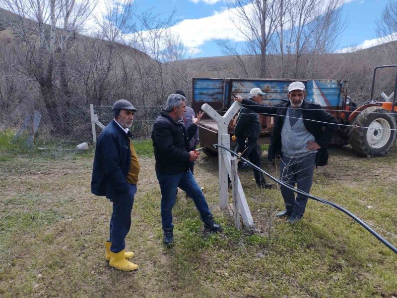 Elazığ’da çiftçilere bağ budama eğitimi
