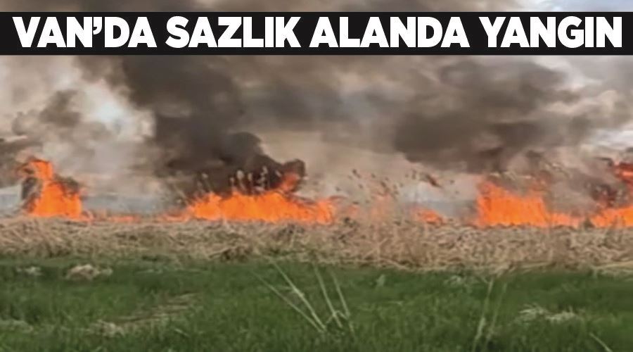 Van’da sazlık alanda yangın