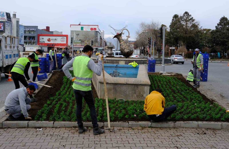 Erzincan karanfil açacak
