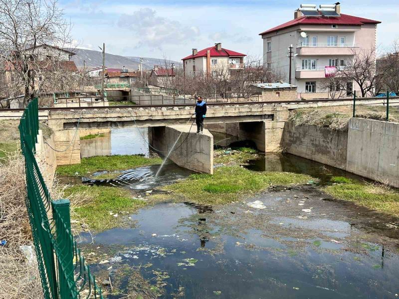 Tatvan’da larvalara karşı ilaçlama çalışmaları başladı
